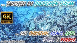 Tauchen im Indischen Ozean 🐢 🐬 🐡 … [upl. by Eph]