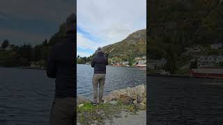 Fishing in Midsund fishing [upl. by Reube114]