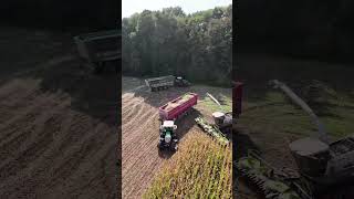 Claas 990TT Silage Machine reaper modern agriculture shorts short viralvideo youtubeshorts [upl. by Lindly]