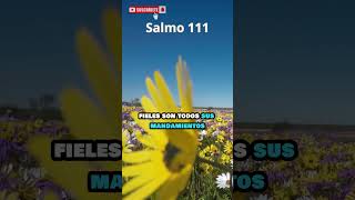 🛑 Salmo 111 Dios cuida de su pueblo shorts [upl. by Noislla]