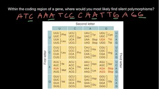 Silent synonymous mutations of a gene explained [upl. by Neelak]