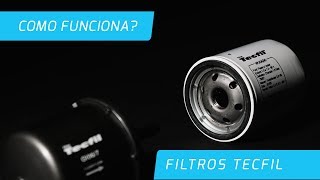 Como Funciona  Filtros TECFIL [upl. by Kcirdec]