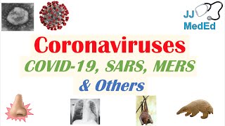 Coronaviruses  Discovery Origins amp Symptoms of COVID19 SARS MERS and Other Coronaviruses [upl. by Leyameg499]