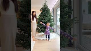 Weihnachtsbaum echt oder künstlich 🤭🌲 Mamiseelen [upl. by Aneleiram]