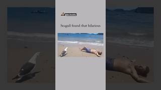 Oh My God😰Wait For End😳He made that Bird Laugh😳😂 viralcontent reels tiktok animals funny [upl. by Fiske]