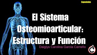 Sistema Osteomioarticular  Anatomía y Función [upl. by Llenol447]