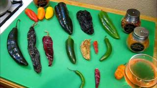 All About Chilies What you need to know S1 Ep177 [upl. by Ardnak]