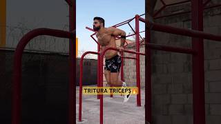 Tritura tus triceps con FONDOS 🔥🔥 [upl. by Eversole507]