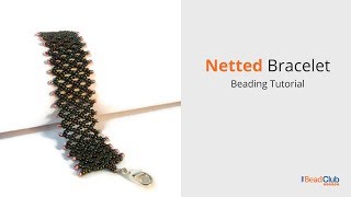 Netted Bracelet Beading Tutorial [upl. by Erasaec745]