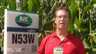 NK Brand Syngenta Seed Corn N53W 3150 CHU Agrisure [upl. by Oliy259]