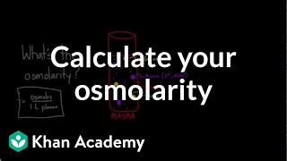 Calculate your own osmolarity  Lab values and concentrations  Health amp Medicine  Khan Academy [upl. by Norrehc326]