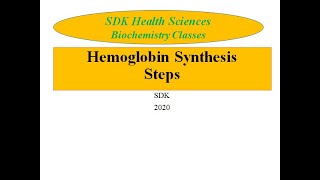 Hemoglobin Synthesis Porphyrin Synthesis [upl. by Arraes723]