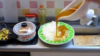 Playing With Konapun Curry Kit Playset NOT EDIBLE [upl. by Gnaht]