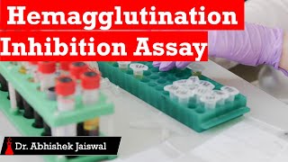 Hemagglutination Inhibition Assay [upl. by Welton]