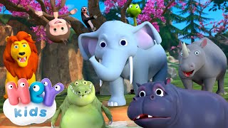 Spielen wir im Dschungel 🦁🐍 Tiere entdecken  Tiere für Kleinkinder  HeyKids Kinderlieder TV [upl. by Aziza]