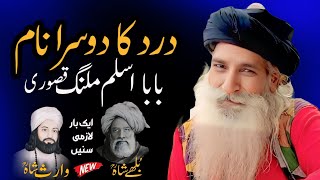 Heer Waris Shah Kalam  Bulleh Shah Kalam  Punjabi Kalam  Sufiana Kalam  Baba Aslam Malang Kasuri [upl. by Ivers]