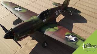 RC IMPRESO 3D P40 CURTIS MAIDEN FLIGHT  D3LINGCOM [upl. by Dennet552]