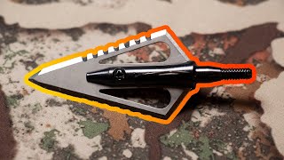 Magnus Stinger Buzzcut Broadhead Review [upl. by Lear111]