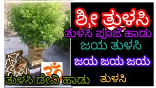 ಶ್ರೀ ತುಳಸಿ ಜಯ ತುಳಸಿ ಸಾಂಗ್ tulasi devi song [upl. by Zolnay154]