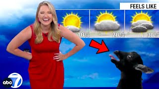 Best News Bloopers July 2023 [upl. by Ylsel]