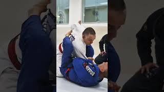 Mario Cupertino e sua finalização Frango assado jiujitsu jiujitsuparatodos bjj cbjj cbjj [upl. by Vadnee538]