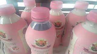 more strawberry milks best strawberry milk in the world made by promised Land dairy 28oz review [upl. by Arak285]