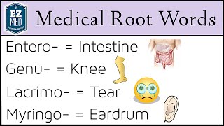 Medical Terminology Root Words MADE EASY Nursing Students Coding Classes [upl. by Vlada]