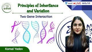 Two Gene Interaction  Principles of Inheritance amp Variation  L6  NEET 202223  Komal Yadav [upl. by Dwayne]