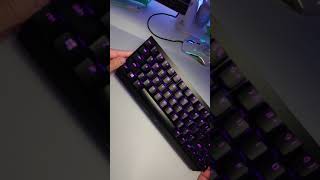 Razer BlackWidow Mini is impressive [upl. by Fairman453]