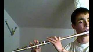 Dvorak  Slavonic Dance no 2 op 72  flute [upl. by Ayhay]