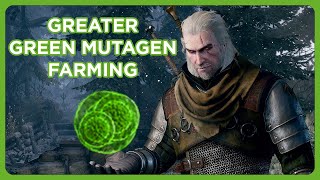 The Witcher 3  Greater Green Mutagen Farming [upl. by Leonsis]