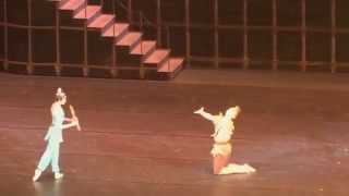 Ballet quotThe Magic Flutequot music WAMozart2014 [upl. by Rossie372]