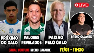 ðŸš¨AO VIVOðŸš¨PRÃ“XIMO DO GALO ðŸ›‘ VALORES REVELADOS ðŸ›‘ PAIXÃƒO PELO GALO [upl. by Worl260]