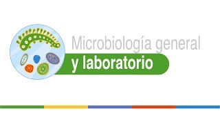 Medios de cultivo selectivos y diferenciales [upl. by Eelrahs]