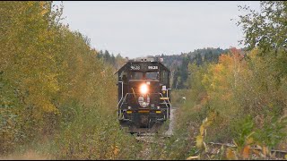 CN 556SB avec IC 9628 DeathStar a StBrunoQc 6 octobre 2024 [upl. by Libyc379]