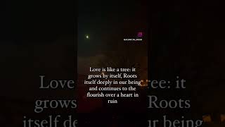 Love is like a tree it grows by itself loveHappylovepostive🩵🩷 [upl. by Isolda]