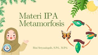 METAMORFOSIS [upl. by Any149]