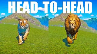 Lion vs Siberian Tiger A Head to Head Speed Race in Planet Zoo [upl. by Curtis]