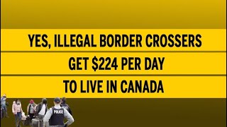 Yes illegal border crossers get 224 per day to live in Canada [upl. by Bonney]