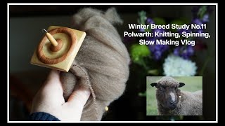 Winter Breed Study No11 Polwarth Knitting Spinning Slow Making Vlog [upl. by Simona]