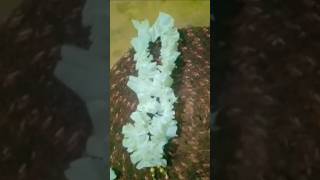 lets make garland by waste tissue papers😍😁homemade easy [upl. by Lesko]