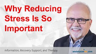 Why Stress Reduction Is So Important For Anxiety Disorder Recovery [upl. by Agle452]