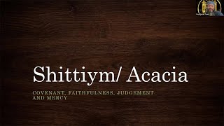 Shittiym Acacia covenant faithfulness judgement and mercy [upl. by Delphina]