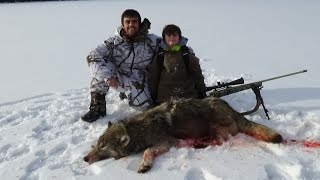 quotWESTERN MONTANA WOLF HUNTING 1quot [upl. by Esimaj]