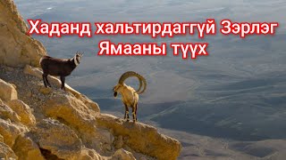 Уулын Ямааны хаданд авирдаг нууцаас Гоё түүхүүд Goy tuuhuud mongol heleer kino duu Barimtat kino [upl. by Penelope]