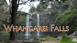 Whangarei Falls 2024 a majestic 26 metre picturesque waterfall along with stunningly scenic walks [upl. by Alyacim]