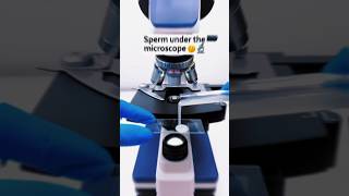 Sperm 🤫 Under microscope 😲🔬 part 2 shorts science microscope [upl. by Thomasa]