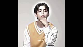 SCOUPS  THE ALPHA LEADER OF KPOP 🗿choiseungcheol scoupsedit scoupssvt svt svtedit [upl. by Ibrek]