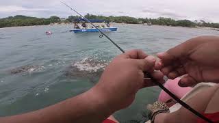 Tinys Mancing Adventures E18  SALTWATER [upl. by Hazem]