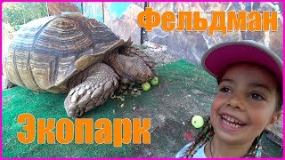 Фельдман ЭкопаркFELDMAN ecopark [upl. by Eynaffit]